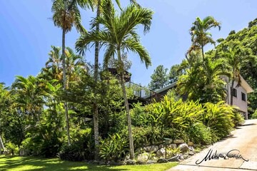 Rainforest Apartment