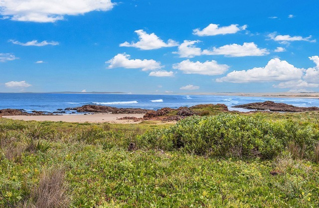 The First Wave 45A Ocean Avenue, Anna Bay - Stunning views & a short stroll from Birubi Beach