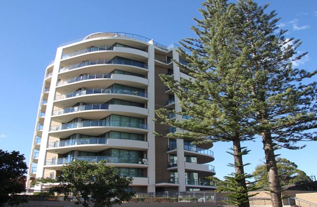 Pines Cbd 