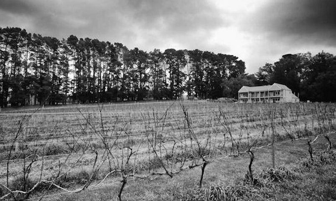 Shoreham Bed & Breakfast | 17 m² Bed and breakfast ∙ 127 guests