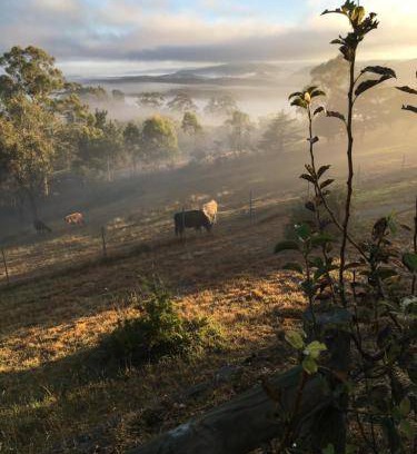 Rydal Bed & Breakfast | 18 m² Bed and breakfast ∙ 2 guests