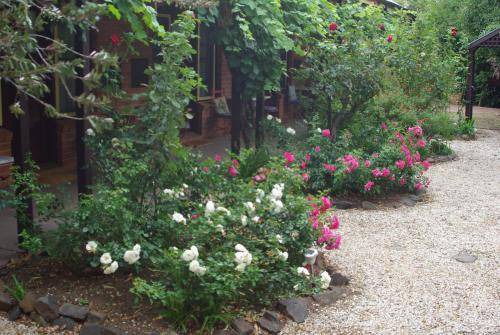 Maldon Hotel | 36 m² Motel ∙ 7 guests