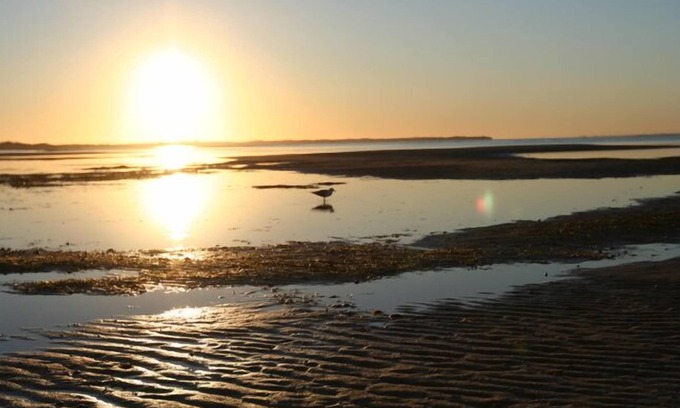 Capel Sound House | 50m to the beach! Your own beachfront views.