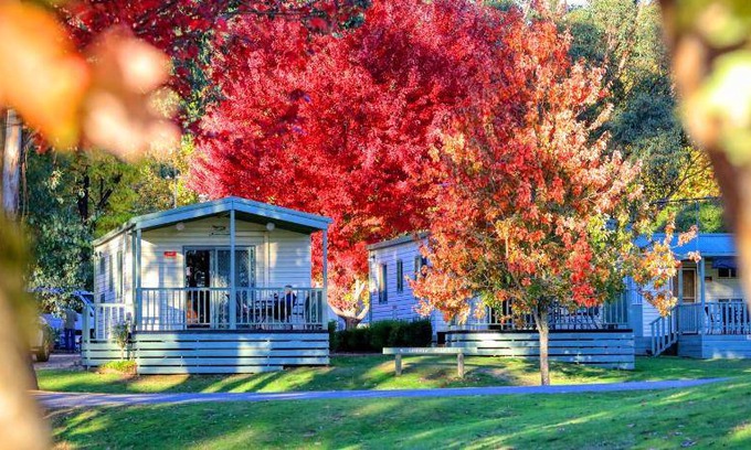 Beechworth Resort | 57 m² Resort ∙ 3 bedrooms ∙ 8 guests