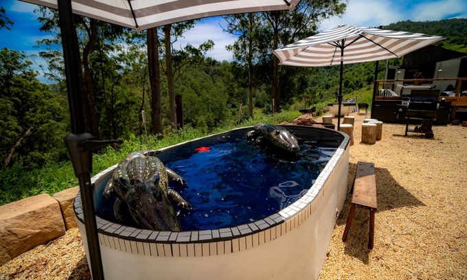 Toms Creek Other | Camping ∙ 8 bedrooms ∙ 8 guests