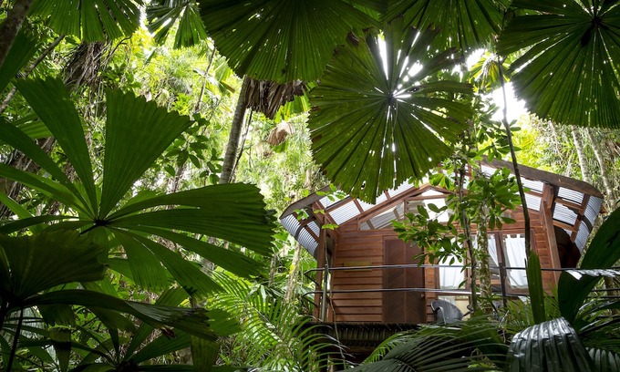 Diwan Cabin | Daintree Wilderness Lodge