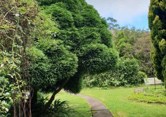 Springbrook Apartment | English Gardens - Forest Spa Suite
