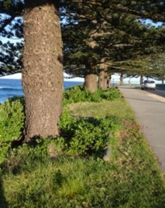 Tuross Head Apartment | Flat 3 Ella May Holiday Flats