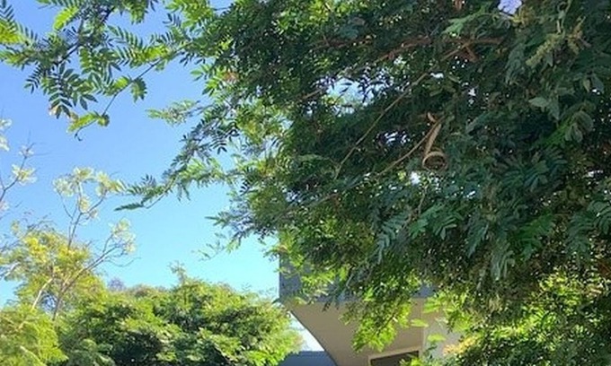 Hawks Nest House | Modern holiday home, TOP NOTCH