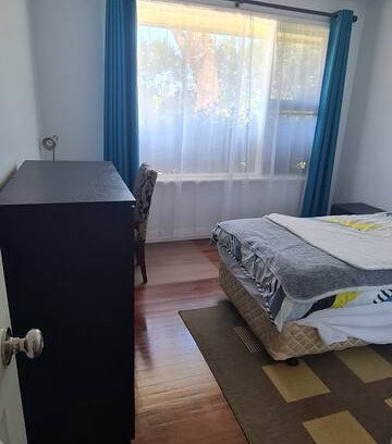 Carlingford Resort | Private room ∙ 1 guest