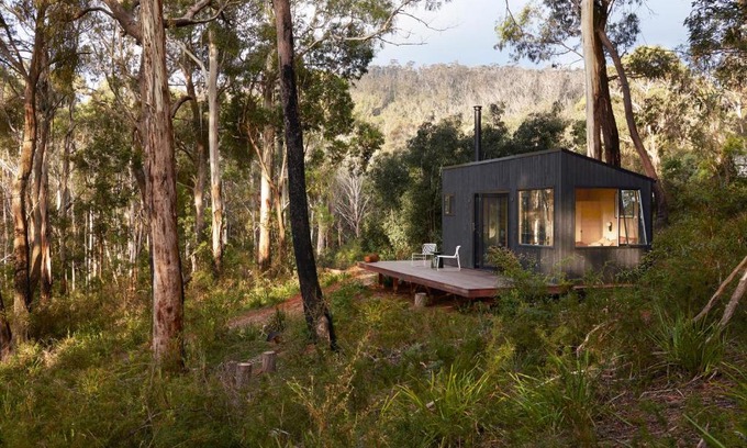Reidsdale Cabin | Ribbon Gum Retreat