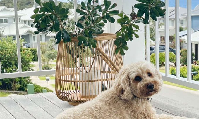 Catherine Hill Bay House | The Sanctuary - Hampton-style beach house, pet friendly, family ready