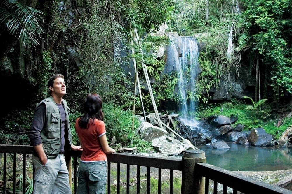 Eagle Heights Apartment | Relaxing Mountain Escape / Tamborine Mountain