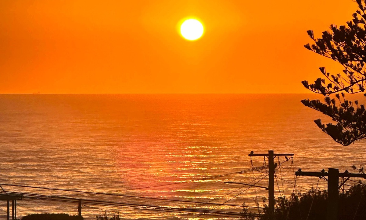 Wamberal Apartment | 100m from Beach: The Wambi Getaway, Pet Friendly, 2BR, Entire Apartment and Yard