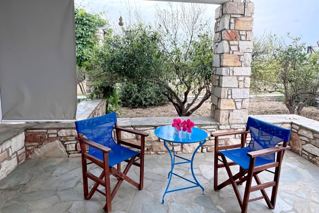 Drios Apartment | Flora & Agelos Studios - Paros