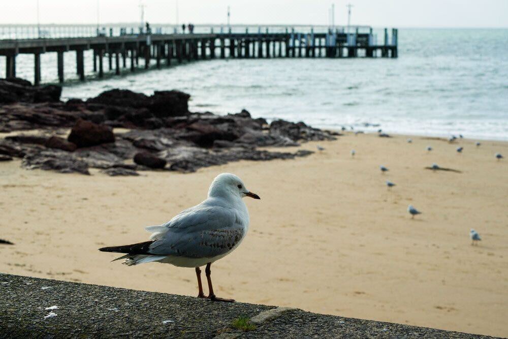 Photo of Others in Cowes