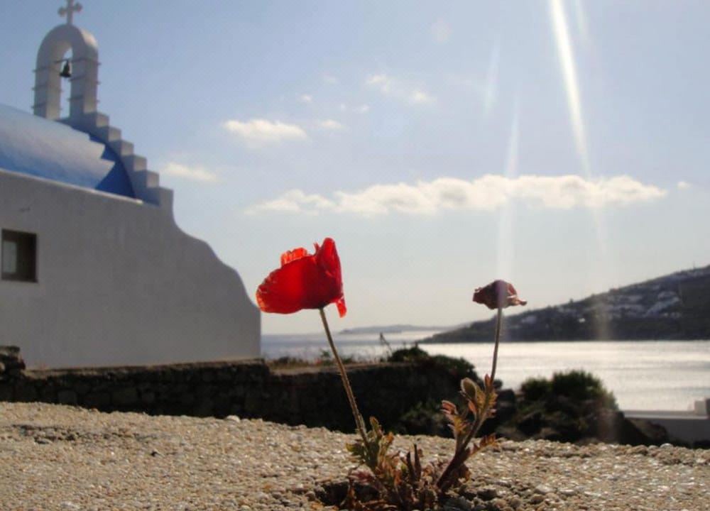 Photo of Others in Mykonos Town