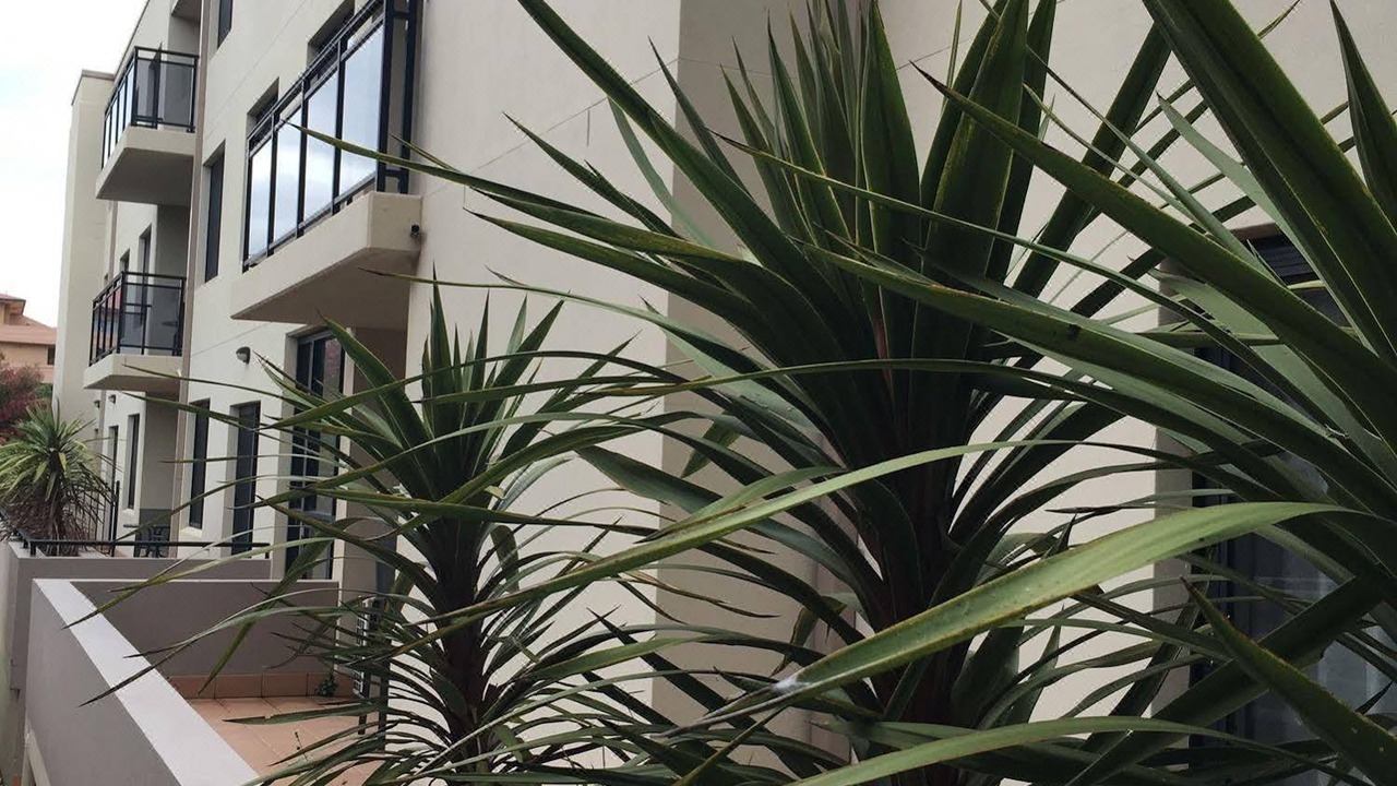 Photo of Buildings in Wollongong CBD