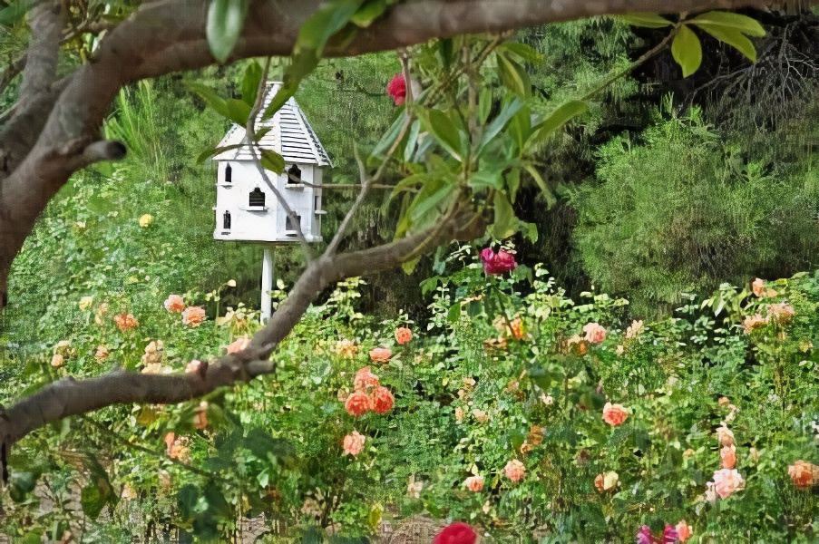 Photo of Others in Lyndoch