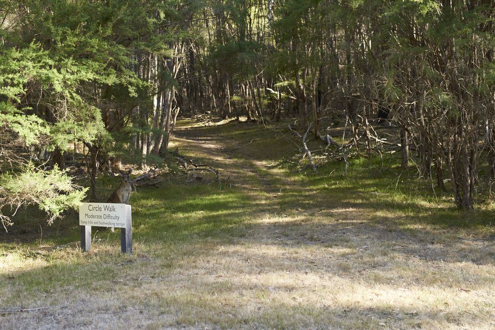 Photo of Outdoor in Yering