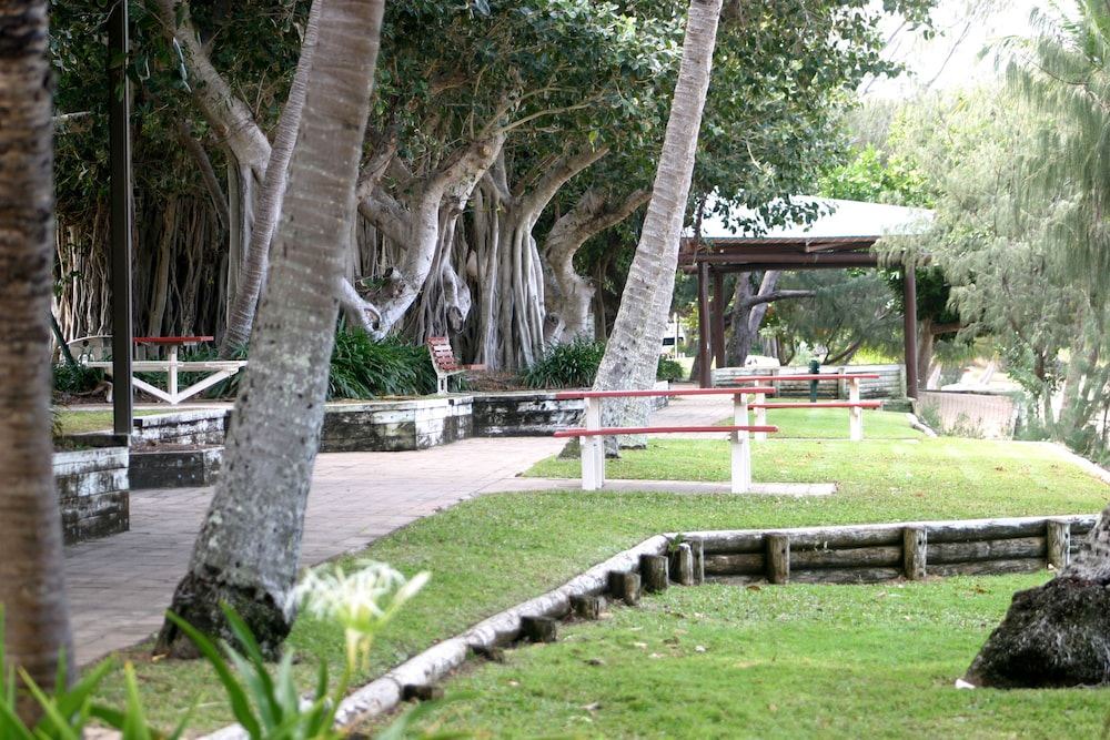 Photo of Others in Picnic Bay