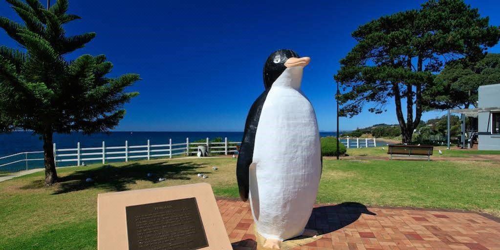 Photo of Others in Penguin