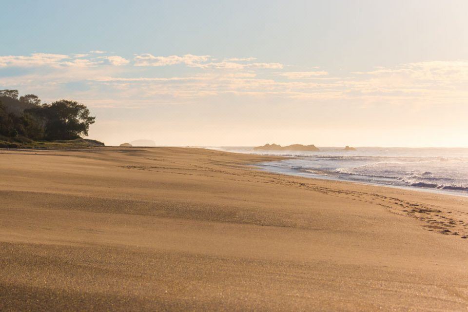 Photo of Outdoor in Korora