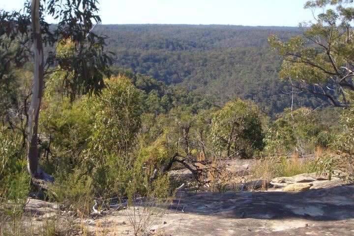 Photo of Outdoor in Kurrajong Heights