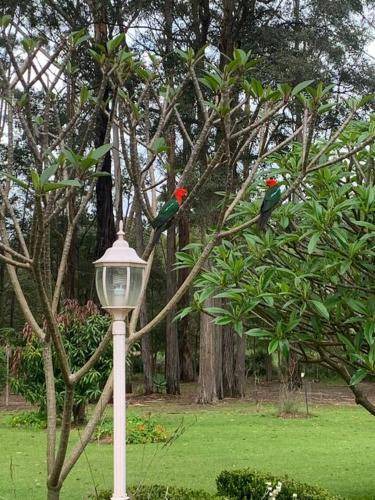 Photo of Others in Moonee Beach