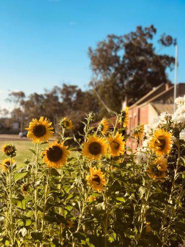 Photo of Others in Tocumwal