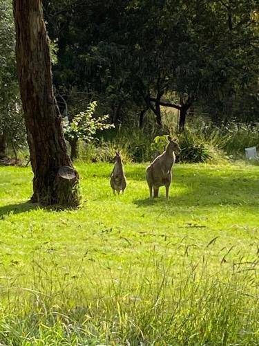 Photo of Others in Bellbrae