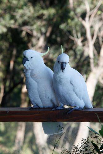 Photo of Others in Kalorama