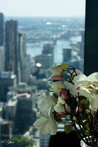 Photo of Others in Melbourne Central Business District