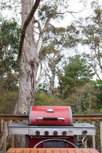 Photo of Others in Katoomba