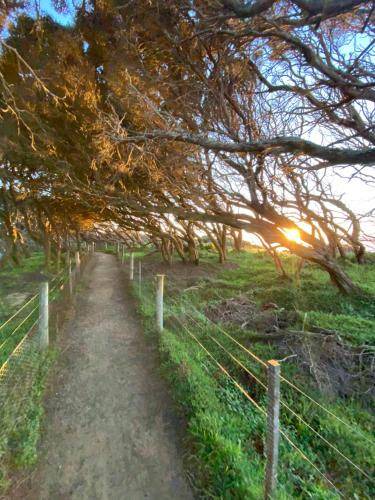 Photo of Others in Anglesea