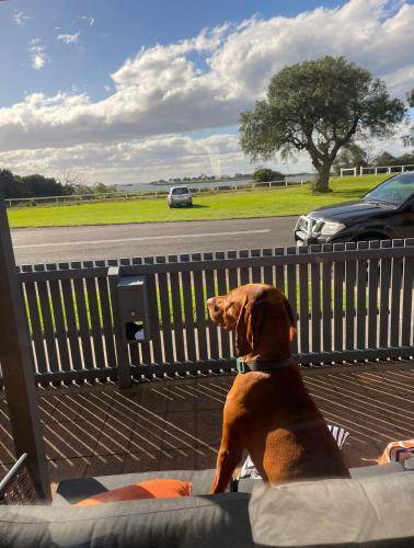 Photo of Others in Queenscliff