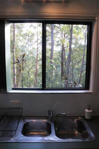 Photo of Others in Landsborough