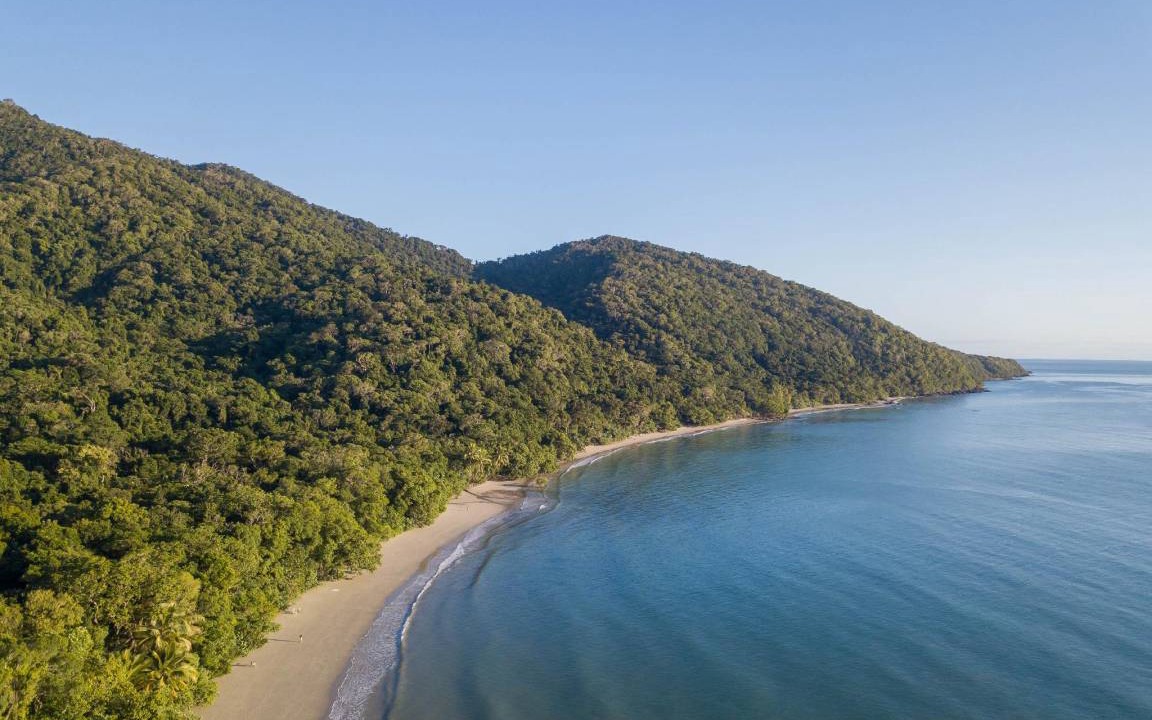 Photo of Others in Cape Tribulation