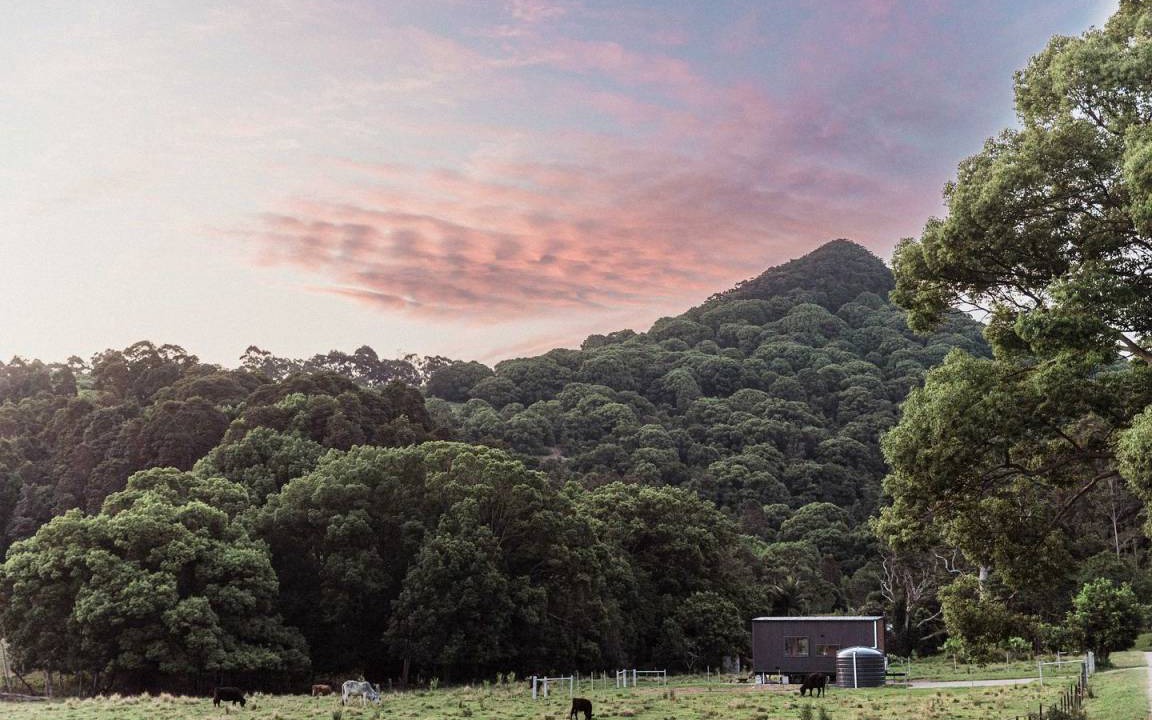 Photo of Others in Mullumbimby