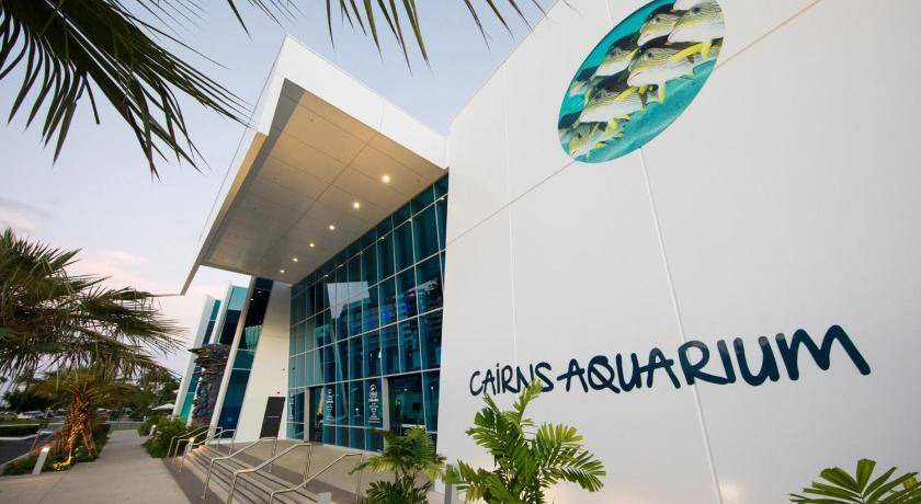 Photo of Others in Cairns Central Business District