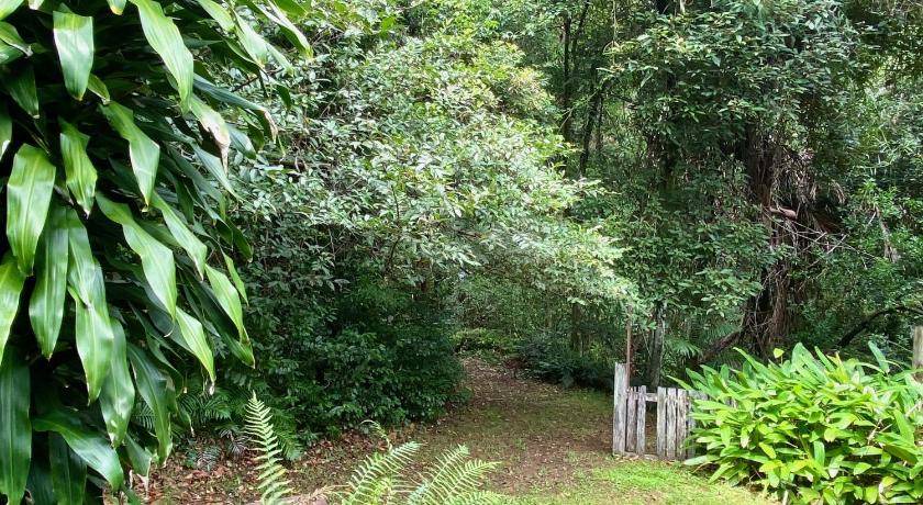 Photo of Others in Palmwoods