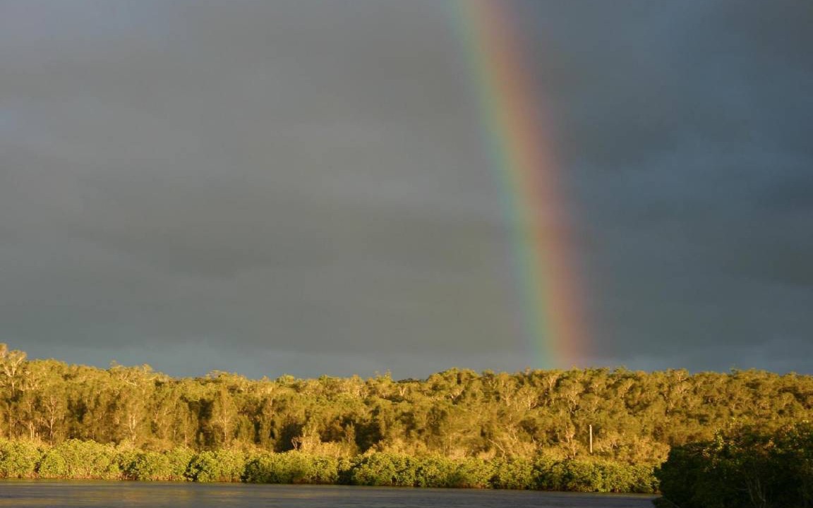 Photo of Others in Noosaville