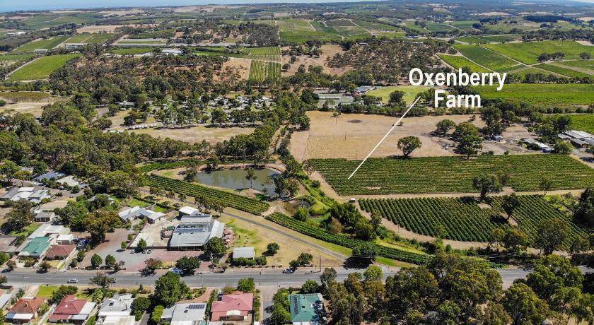 Photo of Others in McLaren Vale