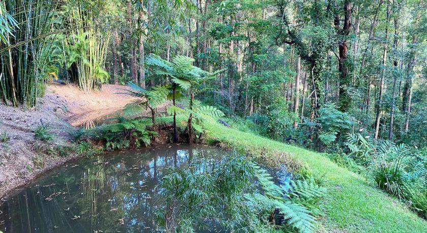 Photo of Others in Palmwoods