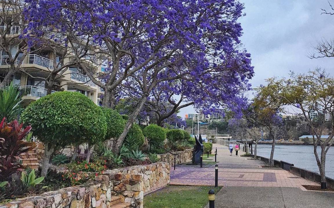 Photo of Others in Kangaroo Point