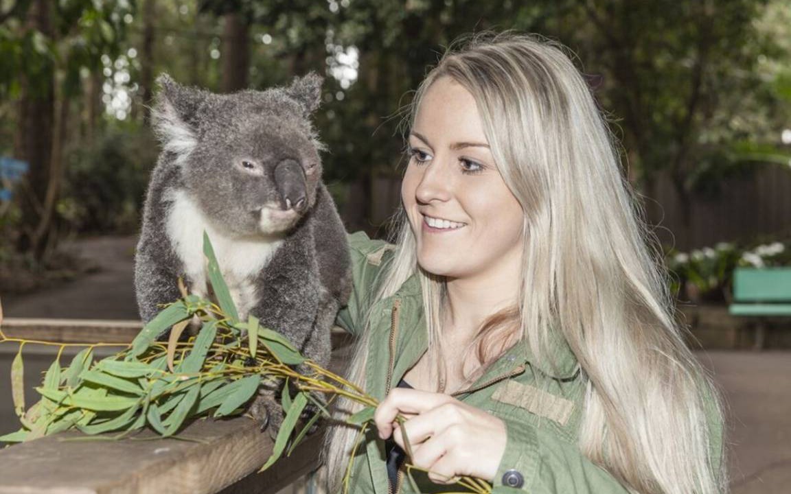 Photo of Others in West Pennant Hills