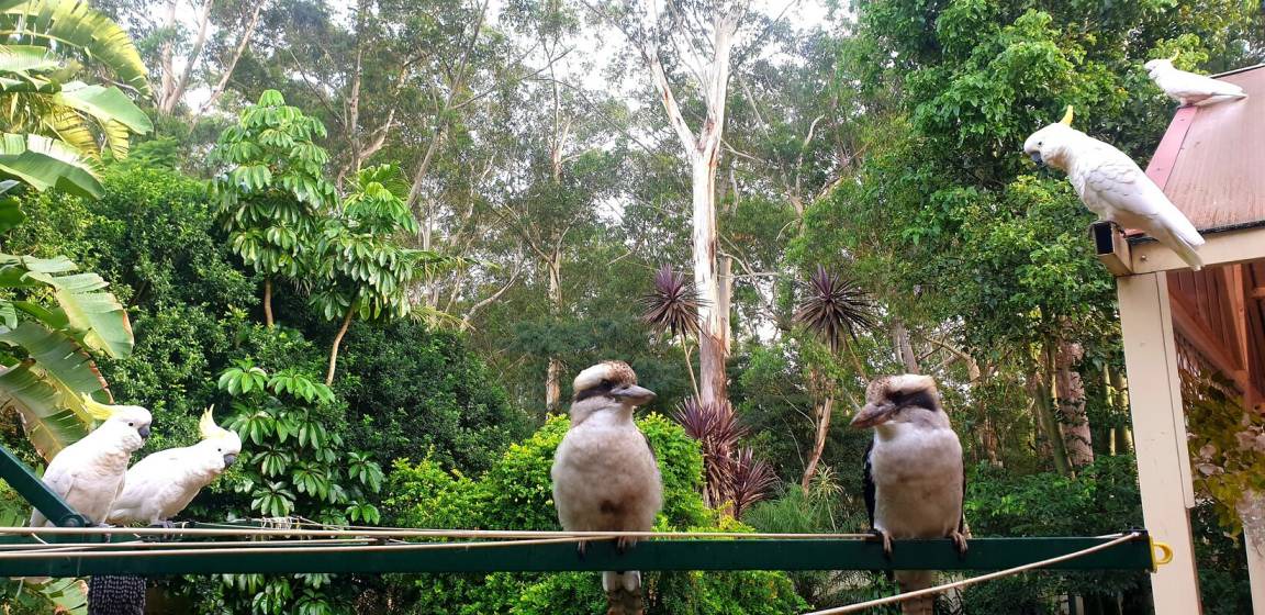 Photo of Others in West Pennant Hills
