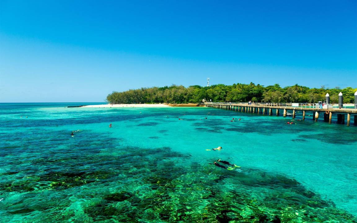 Photo of Others in Cairns North