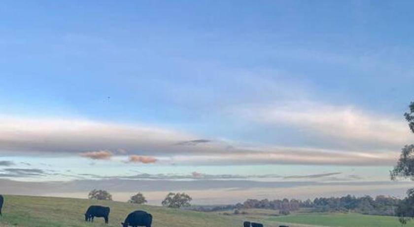 Photo of Others in Menzies Creek