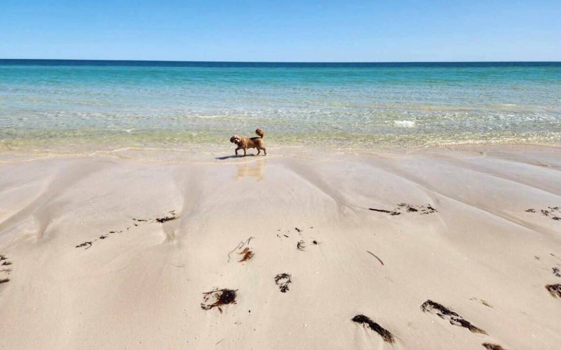 Photo of Others in Moonta Bay